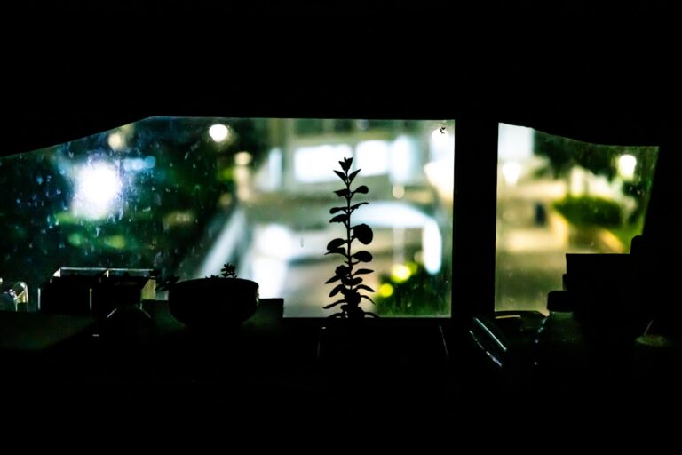 best green screen for small room streaming