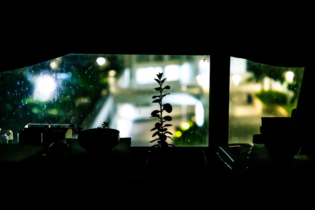 best green screen for small room streaming